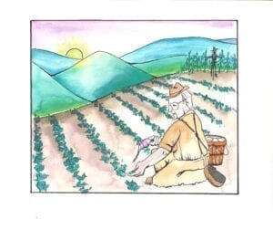 A woman sitting in the middle of a field.