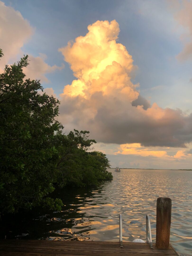 Kelli Hull Tony McLean Brown Happy Guide Sunrise Key West Sugarbush