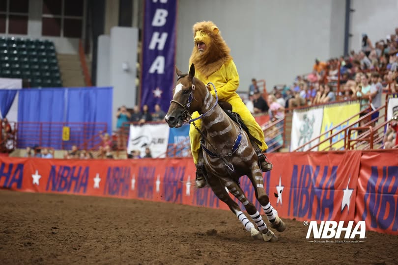 Tony McLean Brown Barrel Racing NBHA
