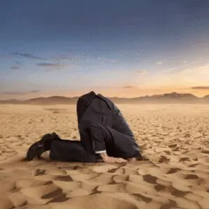 Head in the sand 2