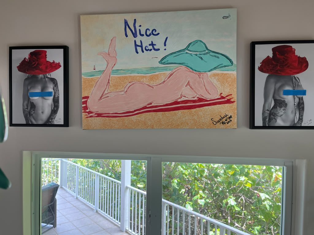 TITS ASS PAINTING NICE HAT