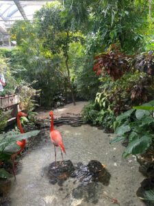 Key West Butterfly Conservancy