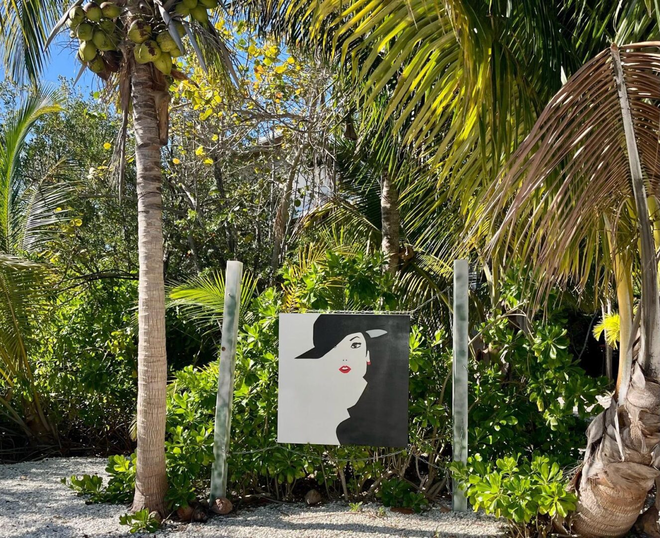 WhatsApp Image 2026-04-29 at 5.01.39 PM