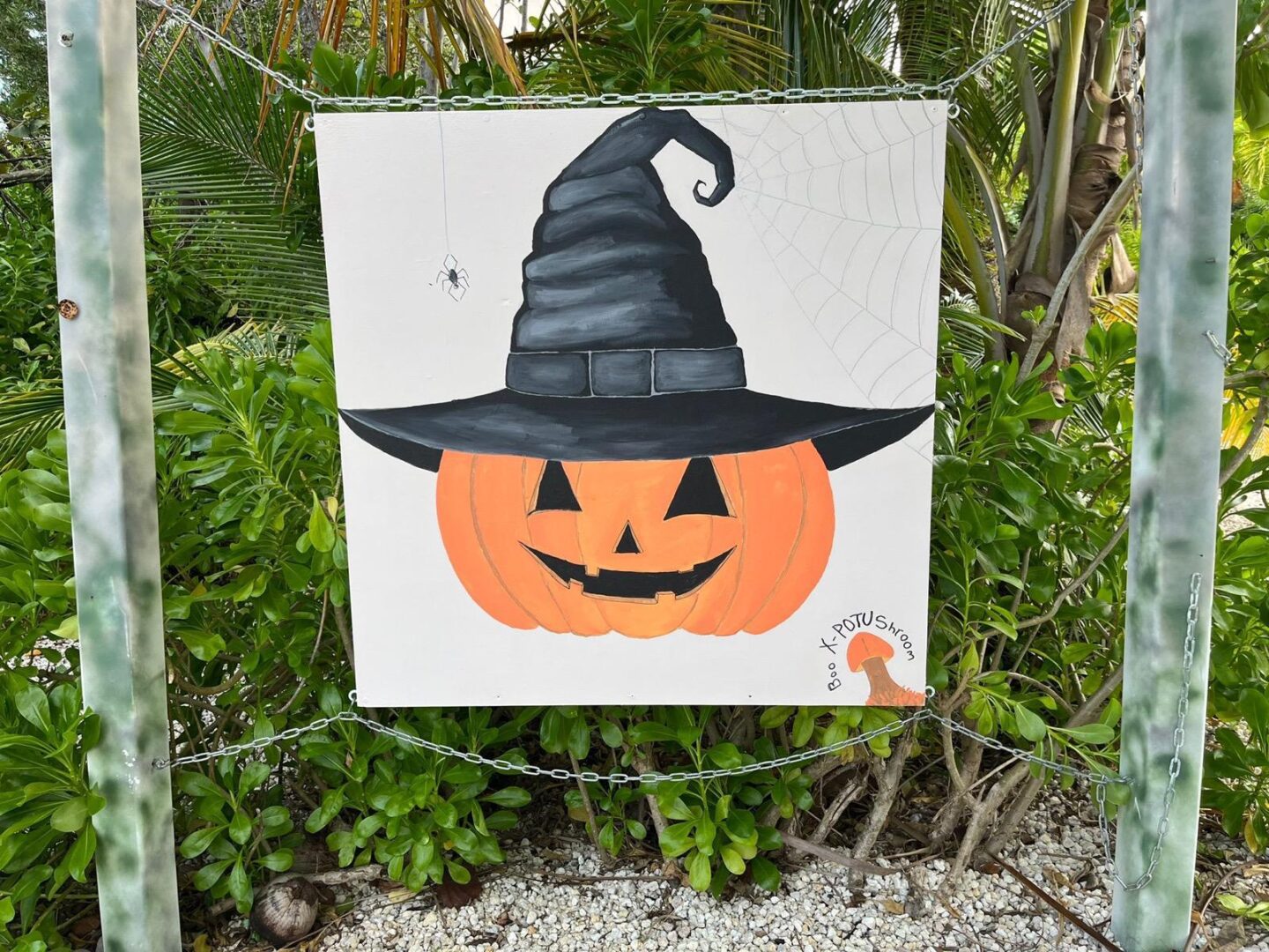 WhatsApp Image 2026-04-29 at 5.24.35 PM