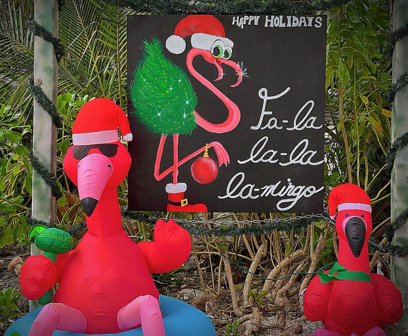 WhatsApp Image 2026-04-29 at 5.41.09 PM