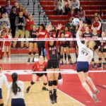 Julia Brown Blocks 2017